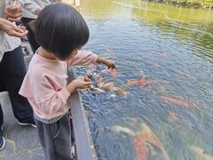 -珠海圆明新园