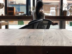 -吉丁鸟咖·异宠·寄养