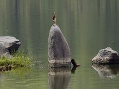 -东莞植物园