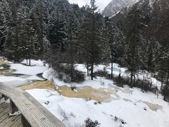 景点-黄龙山原始森林景区