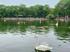 -石家庄市动物园