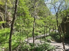 -大岭沟猕猴桃谷风景区