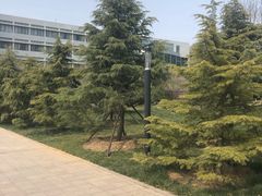 -中国石油大学（华东）（青岛校区）讲堂群
