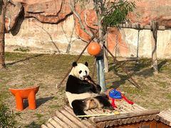 -盐城大丰港动物园