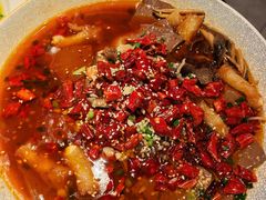 新派毛血旺-松鹤楼(山塘街店)