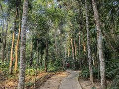 -中国科学院西双版纳热带植物园