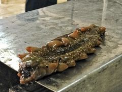 -老尹家海参·海参伴面(阿里山路店)