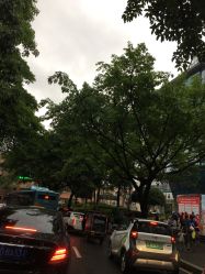 -重庆医科大学附属儿童医院(渝中院区)