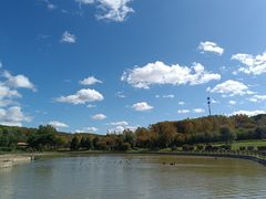 -哈尔滨北方森林动物园