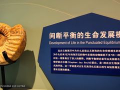 -云南省博物馆