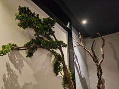 -上足·影院足道·SPA(红岭店)