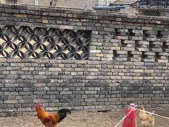 -春风习习