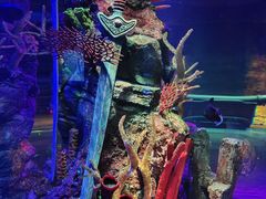 -沈阳海洋探索中心