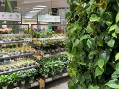 -鹿岛生活(熙地港店)