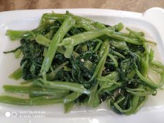 -豐柏轩食府