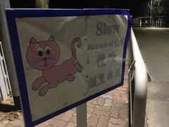 -大埔公路-马料水段香港中文大学(公交站)