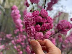 -花儿照相馆·最美证件照(红旗街万达店)