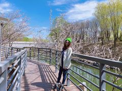 -大兴滨河森林公园