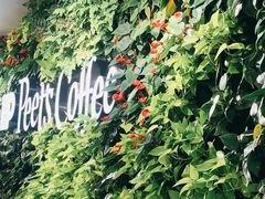 -Peet's Coffee皮爷咖啡(大学路店)