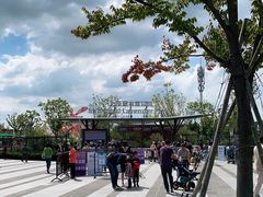 -季高兔窝窝亲子园(上海薰衣草公园店)