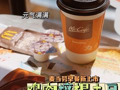 -麦当劳(浦江镇绿地乐和城店)