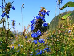 -贵阳市花溪国家城市湿地公园