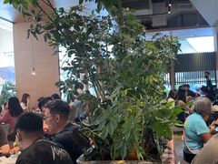 -gaga(深圳福田星河COCO Park店)