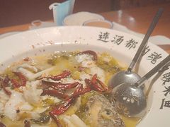 -宋小谨(惠安禹洲店)