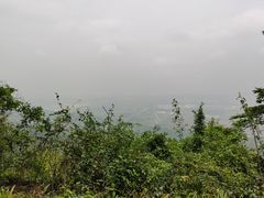 -铁山坪森林公园