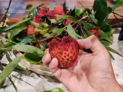 -蓝珊甄选海鲜自助·火锅大排档(近阿那亚店)