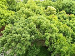 -城隍阁