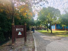 -上海海湾国家森林公园