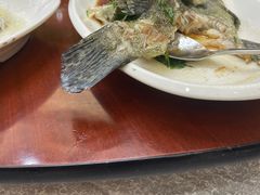 清蒸鲈鱼-禄源公·老莞诚饭店