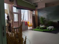 -星豆豆儿童摄影(南郊太白南路店)