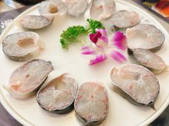 -濠七糟粕醋·椰子鸡火锅(上海首店)