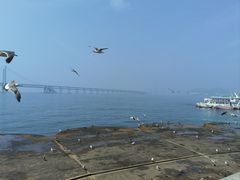 -星海广场