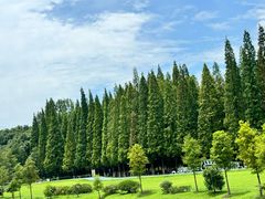 -宜兴龙背山森林公园