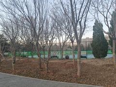 -回龙观体育文化公园