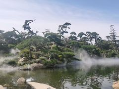 -罗红摄影艺术馆