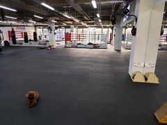 -FIGHTMAN格斗俱乐部(长宁临空店)