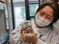 -北京派仕佳德动物医院·超导核磁·CT·神经科·骨科·内外科·急重症管理中心