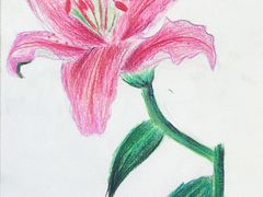 -鼎画艺术机构(贵都店)