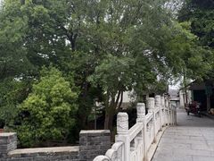 -扬子江公园