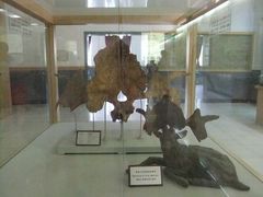 -北京周口店北京人遗址博物馆