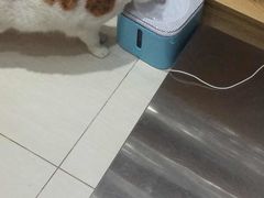 -惠康宠物医院(华能路店)