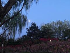 -古塔公园