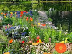 -上海共青森林公园