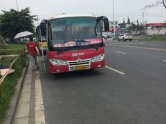 摆渡车-成都大熊猫繁育研究基地