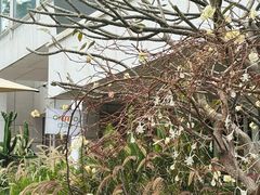 -ommo cafe(半岛城邦店)