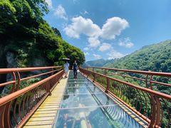 -少华山国家森林公园